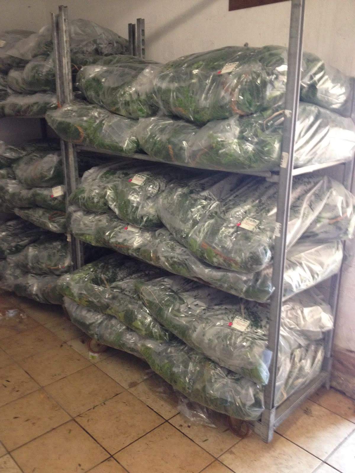 Villa Rothschild — Führungskräfteveranstaltung